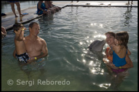  UNEXSO. Programa de "Trobada amb els dofins" - Sanctuary Bay - Grand Bahama. Bahames
