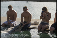 UNEXSO. Programa de "Trobada amb els dofins" - Sanctuary Bay - Grand Bahama. Bahames