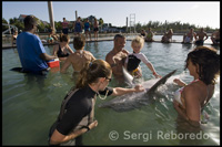 UNEXSO. Programa de "Trobada amb els dofins" - Sanctuary Bay - Grand Bahama. Bahames