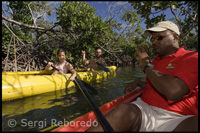 Explorant el Parc Nacional d'Lucaya en Kayak - Grand Bahama. Bahames