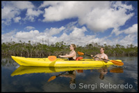 Explorant el Parc Nacional d'Lucaya en Kayak - Grand Bahama. Kayak a Bahames