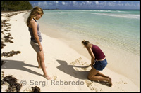 Platja "Gold Rock Beach" - Parc Nacional Lucaya - Grand Bahama. Bahames