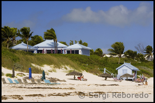 Eleuthera central es centra en Governor's Harbour, la capital de l'illa i la ciutat més gran amb una població de 1500. Governadors de port té un gran magatzem, gasolineres, dos bancs, l'illa l'única sala de cinema, una clínica mèdica, una hermosa biblioteca històrica, un cafè Internet, una oficina de correus, un gran port amb una rampa per a bots, i nombrosos restaurants, botigues , i oficines governamentals. L'àrea també compta amb diversos nous resorts que es examinarà a continuació. Governor's Harbour i els seus voltants, amb la seva arquitectura colonial i una massa crítica de serveis, és vist per alguns com la millor ubicació en el continent Eleuthera. Com a resultat, la regió central Eleuthera generalment té el major valor de béns arrels en el continent Eleuthera, sense comptar l'illa de gamma alta i enclavaments turístics.