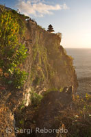 Micos en els penya-segats al costat del temple Pura Luhur Ulu Watu. Bali.