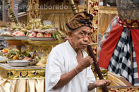Un home deixa les seves ofrenes al Temple Pura Desa Ubud durant la celebració del Galungan. El festival de Galungan, el més important de Bali, simbolitza la victòria de Drama (virtut) sobre Adharma (mal). Durant els dies que duren les celebracions dels balineses desfilen per tota l'illa adornada amb pals llargs de bambú (penjor) decorat amb panotxes de blat de moro, coco, coques i pastissets d'arròs així com teles blanques o grogues, fruites flors. Aquesta festa se celebra cada 210 dies. Ubud. Bali.