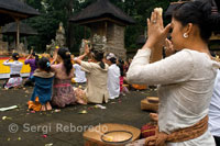 Diverses persones resen i deixen les seves ofrenes a la Reserva Sagrada del Bosc dels Simis durant la celebració del Galungan. El festival de Galungan, el més important de Bali, simbolitza la victòria de Drama (virtut) sobre Adharma (mal). Durant els dies que duren les celebracions dels balineses desfilen per tota l'illa adornada amb pals llargs de bambú (penjor) decorat amb panotxes de blat de moro, coco, coques i pastissets d'arròs així com teles blanques o grogues, fruites flors. Aquesta festa se celebra cada 210 dies. Ubud. Bali.