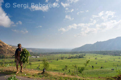 La excursioneta cap a la part est de Bali, es visita el poble "Bali aga" natiu Balinès d'tenganan, passem per Candidasa fins arribem a amlapura per visitar el Puri agung, el palau real de Karangasem, bano reals de Tirta Gangga i mida ujung l' palau aguatico, al retorn passem pel temple de la cova del ratpenat.