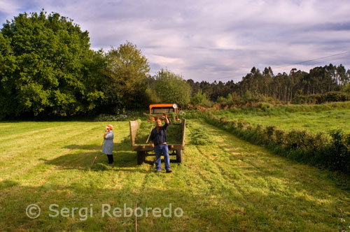 Alguns agricultors va saludar els pelegrins que passen per les seves terres.