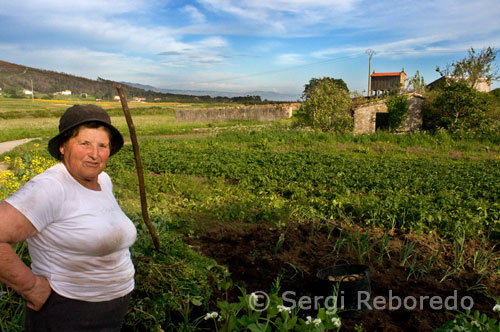 Un agricultor a les rodalies de Sant Salvador de Duio. Fisterra.