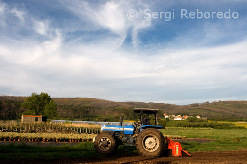 Paisatge rural a les rodalies de Sant Salvador de Duio. Fisterra.