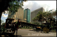 Calesas de cavalls esperant als turistes a les portes dels grans hotels de Malate. Manila.