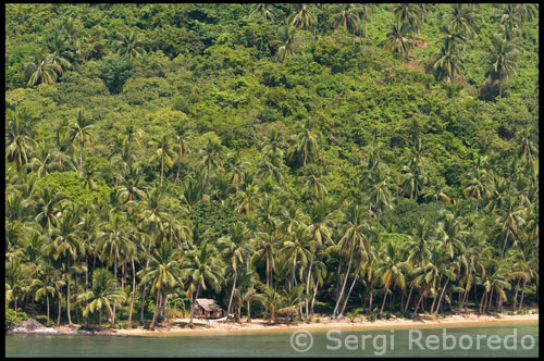 De Manila, Mar de l'Aire de la Corporació de Serveis de Manila ruta Busuanga almenys una vegada al dia usant un 18-avions biplaça. En arribar a la King Ranch Yulo a Busuanga, jeepneys portarà els visitants a la Decalatiao Wharf, on els vaixells estaran esperant els passatgers del ferry a l'illa de Calauit. Amb una superfície de 3.700 hectàrees Calauit Santuari de Vida Silvestre Illa és la llar dels animals endèmics i de la fauna africana. Vuit espècies d'animals africans de Kenya, que inclou les girafes, zebres, impales, Waterbucks, bushbacks, gaseles, antílops i topis viure en harmonia amb els animals endèmics de Filipines com el cérvol Calamian, cérvol ratolí, Bearcat, Palawan, Filipines cocodrils i tortugues marines . Con instalaciones modestes estan disponibles per a passar la nit.