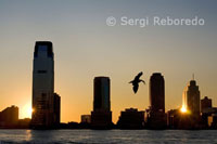 Vistes al capvespre del Riu Hudson des del Battery Park. Una gavina acaba de pescar i el sol es reflecteix mentre s'amaga en un dels gratacels de Jersey.