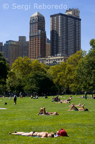 Central Park. Als voltants de la 65th Street hi ha una zona de gespa anomenada Sheep Meadow en què centenars de persones es tomben en els mesos d'estiu a prendre el sol i llegir el diari. Central Park ofereix una gran varietat d'activitats als seus visitants: la pràctica de multitud d'esports, representacions teatrals i concerts musicals. Al parc trobem diverses esplanades de gespa en les que podem practicar esports com el futbol o el beisbol, o simplement ajeure'ns a llegir o prendre el sol. L'esplanada més gran és la de Great Lawn, situada al cor del parc.