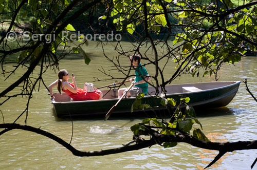 Central Park. The Lake. Aquest llac es troba al sud de Great Lawn i es lloguen barques per navegar per la zona. (15 d'abril a octubre de 10am-5: 30pm / 12US $ la primera hora 2,5 US $ cada 15 minuts addicionals / Telf 212-517-2233). The Lake està practicant dividit en dues zones que s'uneixen per un canal sobre el qual hi ha un pont de ferro forjat anomenat Bow Bridge, des del qual es tenen bones vistes de la zona. Alguna vegada imaginar navegar en una embarcació dels anys 20 per Manhattan? O gaudir de la brisa marítima en passar per l'Estàtua de la Llibertat? Entre els diferents passejades, navegar amb el Shearwater és l'opció ideal per gaudir una experiència inoblidable bord. Hi ha diversos tours públics que surten a hores preestablertes de Battery Park, amb una durada de 1.5-2 hores de viatge al voltant de Manhattan i l'Estàtua de la Llibertat. Es recomana especialment el passeig nocturn com a alternativa per gaudir d'un glop relaxant.