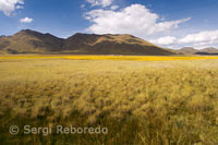 Paisatge de l'altiplà peruà vist des de l'interior del tren Andean Explorer de Orient Express que cobreix el trajecte entre Cuzco i Puno.