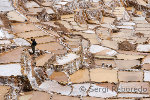 Passat el pont, caminem per un altre 5mins a la base de la muntanya on estan les mines de sal. A la part inferior, hi ha un corrent d'aigua salada. Ens submergeix en les nostres mans, només per a ells blanc sec, però de manera suau. Escalar la muntanya va ser un repte. L'aire és prim i aquí la terra (i polsegós) camí al principi era en la seva major part estrets i costeruts. No hi va haver senyals o barreres, que algunes parts de por com ho va mirar cap avall a continuació. Un cop a la part superior, se'ns greated amb la finalitat de les mines de sal i el paisatge circumdant, el que mires! Amb les mines de sal, la població de la canal d'aigua salada que les bombolles a la superfície d'un brollador anomenat Qpripujio cap als homes pous. De l'exposició al sol, l'aigua s'evapora i la sal queda a la superfície per ser transportats més tard al mercat per a la venda. La vista d'aquest complex de prop de 3000 pous és espectacular. El viatge per la costeruda muntanya va ser més difícil del que sembla, per no parlar de la brutícia i la pols que relliscós. Estàvem tan lent, que una família local atrapats a nosaltres ... la mare amb el seu nadó sobre la seva esquena (tan valent) i el pare amb un bou amb una corretja.