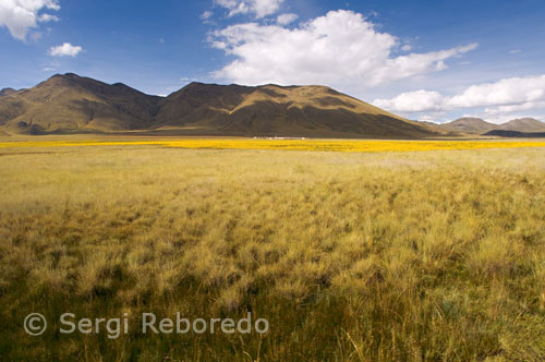 L'altiplà andí és un dels més grans planes d'alta muntanya en el món, superada només per al Tibet. Está rodeado por Andina va amb enormes cims dels volcans actius d'arribar fins a més de 6.000 m (20.000 peus) sobre el nivell del mar i per sobre de l'altiplà, que al seu torn se situa en 4.000 m (13.000 peus) d'altitud. L'aire és molt prim a aquesta altitud i el clima és àrid, fred i vent. No obstant això, aquesta terra d'extrems recolza una gran varietat de vida animal, incloent les flames, vicunya, alpaques, vizcachas, el còndor andí, i grans grups de flamencs, cosa que afavoreix el vent exposats llacs de sal de l'Altiplà com de reproducció. Molt poques persones viuen aquí, la majoria són indígenes aimara i quítxua amb les seves diferents llengües i cultures que habiten en aldees disperses que encara record de les glòries passades gran Inca Empire.