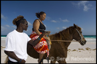 Paseos a caballo por la “Playa de Arena Rosa”. Dunmore Town - Harbour Island - Eleuthera. Bahamas