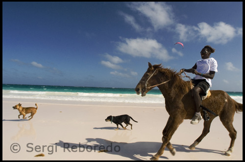 Hay un tercer recurso importante en esta parte de Eleuthera, pero a diferencia de los otros dos, ha sido alrededor de un largo tiempo. Windermere Island largo un favorito de la familia real británica, hizo las noticias en 1982 cuando un paparazzi fotografió escandalosamente vacaciones y embarazada - Lady Di en su bikini. Windermere es un residencial privado isla cinco millas de largo con una playa de arena rosa-a lo largo de gran parte del Atlántico. Un club privado con piscina, pistas de tenis, y un bar / comedor se mantiene para los miembros y huéspedes. A partir de 2006, la porción norte deshabitado de la isla se abrió para el desarrollo. Usted puede comprar un lote frente a la playa en Windermere para 1,5 millones de dólares. Una frente al mar (pero no frente a la playa) lote está incluido en la lista de 449.000 dólares, y en el interior había gran cantidad puede ser por un mínimo de $ 290.000.