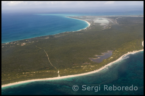 Cuando tienes el dinero, todo es posible. Sin embargo, si usted está planeando un gato bahamas isla de vacaciones y te encuentras en un presupuesto se pueden encontrar buenas ofertas a partir de la isla Cat. Bahamas vuelos. De bajo costo Cat. isla Bahamas vuelos llegar a su destino en el menor tiempo y al precio más barato posible. Alrededor de la tienda y buscar los tipos de descuento (que están disponibles en línea) en las islas Bahamas gato vuelos y compra por adelantado. Consulte con sus amigos que han viajado recientemente y después de elegir la mejor opción, vaya a su gato de vacaciones isla Bahamas