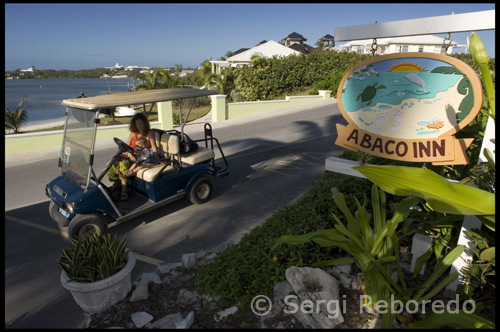 Una de las cosas más populares para hacer en el Abacos es pasar el rato en el agua. Con la comodidad de un barco, puede explorar todos los cayos y sus calas en su propio horario. También puede explorar nuestro parque bajo el mar, sólo agarrar algunos equipos de snorkel y ya está. Vea la sección sobre el snorkeling y buceo más información. Si va a estar haciendo un montón de paseos en bote, El Crucero Guía de Abaco es un recurso muy útil de navegación. Para obtener más información, o para adquirir la guía, por favor visite el sitio web de Blanco Sonido Prensa. Haga clic aquí para ver información de alquiler de barcos. Haga clic aquí para ver un mapa de Abaco. Explorar toda la isla de Cayo codo por el alquiler de un carrito de golf, o algunas bicicletas. La isla es muy diferente de un extremo a otro. Usted puede encontrar el lugar perfecto para quedarse la próxima vez que usted visita! Haga clic aquí para obtener información sobre carrito de golf y alquiler de bicicletas. Cristina Silvente e Iris Reboredo