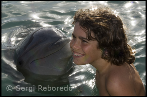 Interactuar con los delfines en el entorno natural de El Delfín Experiencia laguna. Elija entre una gran variedad de emocionantes delfines Interacciones. Llevar a casa recuerdos de su delfín. Compre las fotos tomadas durante el día con nuestros delfines. Múltiples salidas diarias desde UNEXSO a los 9 acres Dolphin Experience Laguna. Nadar e interactuar con nuestros delfines entrenados en las aguas protegidas y el medio ambiente natural de La Laguna Experiencia Delfín. Nuestro personal especializado le guiará a través de una perfecta combinación de comportamientos y delfines nadando relajado. Durante esta vez en la vida que usted se sorprenderá de cómo estos graciosos animales moverse en el agua y salto y giro a su mando.