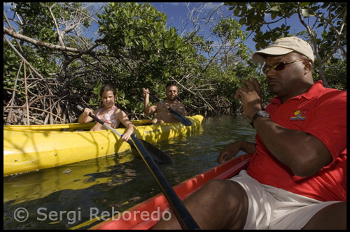 Descubra un oasis de plantas indígenas en la vida, incluidos los manglares, helechos y un panorama de flores exóticas. Una multitud de pájaros, incluyendo la banda encabezados por tangara, serenata a usted en el paseo a través de los seis diferentes ecosistemas en el parque. Raquel, el mapache, incluso puede aparecer un llamamiento a nuestros guías para algunos sabrosos leftovers.Descend en las misteriosas cuevas, donde los antropólogos han descubierto - entre las muchas estalagmitas - Lucayan reliquias, incluidos los artefactos de la antigua rituales de entierro. Esta espectacular reserva ecológica, establecida por las Bahamas National Trust en 1982, ofrece a los visitantes la oportunidad de explorar la belleza de este oasis Caribe. Después de un breve tutorial sobre remando y la seguridad, se quitan de encima en una de nuestra amplia y estable de dos personas kayak para explorar el hermoso entorno de preservar la vida silvestre.