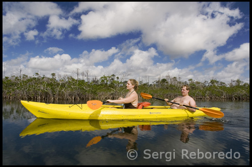 Paddle en el paraíso, como adentrarse en el Parque Nacional Lucayan en nuestra guía de kayak de expedición. Nuestros expertos guías de la isla le llevará a la espectacular 42-acre eden y disfrute de un maravilloso tour de medio día. Esta espectacular reserva ecológica, establecida por las Bahamas National Trust en 1982, ofrece a los visitantes la oportunidad de explorar la belleza de este oasis Caribe. Después de un breve tutorial sobre remando y la seguridad, se quitan de encima en una de nuestra amplia y estable de dos personas kayak para explorar el hermoso entorno de preservar la vida silvestre. El tour viaje hacia el interior del parque a través de la apacible aguas someras de los estuarios. Planeo en la dappled paraíso como la luz del sol brilla a pesar de la celosía de los manglares canopy.Land su kayak en el mando a distancia de la costa de Playa de Oro Rock. Mirada en la vista como la costa de comer el almuerzo debajo de una duna arriba refugio. Después de satisfacer su apetito, tomar un baño en las aguas cristalinas, peine marinas de la playa, tomar el sol, o simplemente relajarse en la sombra de los casuarinas.After su visita a la playa, tiene la opción de excursiones en los alrededores virgen parque de la naturaleza en un paseo guiado.