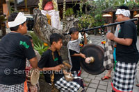 Varios jóvenes tocan música recorriendo las calles de Ubud durante la celebración del Galungan. El festival de Galungan, el más importante de Bali, simboliza la victoria de Drama (virtud) sobre Adharma (mal). Durante los días que  duran las celebraciones los balineses desfilan por toda la isla adornada con palos largos de bambú (penjor) decorado con mazorcas de maiz, coco, tortas y pastelitos de arroz así como telas blancas o amarillas, frutas  flores. Esta fiesta se celebra cada 210 días. Ubud. Bali.
