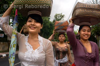 Varias mujeres se dirigen a Reserva Sagrada del Bosque de los Monos para rezar y dejar sus ofrendas durante la celebración del Galungan. El festival de Galungan, el más importante de Bali, simboliza la victoria de Drama (virtud) sobre Adharma (mal). Durante los días que  duran las celebraciones los balineses desfilan por toda la isla adornada con palos largos de bambú (penjor) decorado con mazorcas de maiz, coco, tortas y pastelitos de arroz así como telas blancas o amarillas, frutas  flores. Esta fiesta se celebra cada 210 días. Ubud. Bali.