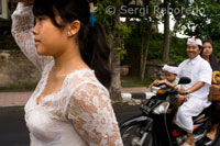 Varias personas se dirigen a Reserva Sagrada del Bosque de los Monos para rezar y dejar sus ofrendas durante la celebración del Galungan. El festival de Galungan, el más importante de Bali, simboliza la victoria de Drama (virtud) sobre Adharma (mal). Durante los días que  duran las celebraciones los balineses desfilan por toda la isla adornada con palos largos de bambú (penjor) decorado con mazorcas de maiz, coco, tortas y pastelitos de arroz así como telas blancas o amarillas, frutas  flores. Esta fiesta se celebra cada 210 días. Ubud. Bali.