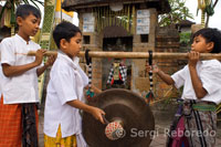 Varios jóvenes tocan música recorriendo las calles de Ubud durante la celebración del Galungan. El festival de Galungan, el más importante de Bali, simboliza la victoria de Drama (virtud) sobre Adharma (mal). Durante los días que  duran las celebraciones los balineses desfilan por toda la isla adornada con palos largos de bambú (penjor) decorado con mazorcas de maiz, coco, tortas y pastelitos de arroz así como telas blancas o amarillas, frutas  flores. Esta fiesta se celebra cada 210 días. Ubud. Bali.