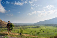 Un campesino junto a unos campos de cultivo cercanos al pueblo de Tirta Gangga al Este de Bali.