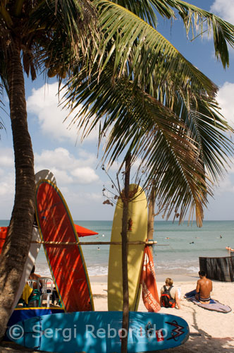 Con sus playas de arena fina, el batir de las olas, los bancales de arroz de color verde esmeralda y una cultura extraordinariamente artística, la pequeña isla volcánica de Bali –la única sociedad hindú del sureste asiático– ha sido durante mucho tiempo el primer destino turístico de Indonesia. Aunque padece los problemas predecibles de la aglomeración y la comercialización, el encanto original de Bali aún sigue estando presente, con sus magníficos templos y sus espectaculares festivales realzados por el exuberante y hermoso paisaje del interior. El complejo turístico más famoso y bullicioso de Bali es Kuta, un área de ocho kilómetros de arena dorada llena de alojamientos, tiendas y vida nocturna. Cerca de allí, Sanur es mucho más tranquilo, aunque la mayoría de mochileros prefieren las playas de la costa oriental de Amed, Candi Dasa y Padang Bai, Lovina en la costa norte o la tranquila Nusa Lembongan, a la que se puede llegar con facilidad desde Sanur. El otro destino principal de la isla es el centro cultural de Ubud, donde hay representaciones de danzas tradicionales todas las noches de la semana y las calles están llenas de bares de bebidas naturales y galerías con talleres de artesanía. Además, hay numerosos y elegantes templos hindúes que visitar, sobre todo en Tanah Lot, Batukau y Besakih. También hay un buen número de excursiones a volcanes; la más popular es la ruta que sube hasta Gunung Batur, con el ascenso a Gunung Agung sólo para los que están muy en forma. El transporte hacia Bali y desde allí es muy eficaz: a la isla llegan muchísimos vuelos internacionales y nacionales, que aterrizan en el aeropuerto de Ngurah Rai, situado al sur de la playa de Kuta. Además, hay transbordadores durante todo el día que van a Java, a unos treinta minutos al oeste por mar desde Gilimanuk, y a Lombok, unas cuatro horas al este de Padang Bai. También hay varios transbordadores Pelni que atracan en el puerto de Benoa. Los precios en toda Bali aumentan durante las épocas de mayor afluencia de turistas, es decir, de mediados de junio a mediados de septiembre y en Navidad, momentos en los que las habitaciones pueden estar reservadas con días, e incluso semanas, de antelación. 