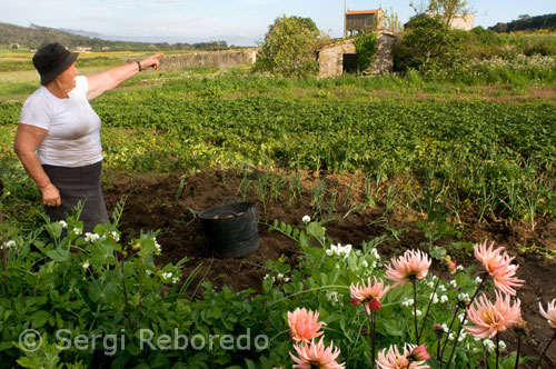 Un agricultor en las cercanías de San Salvador de Duio. Fisterra.