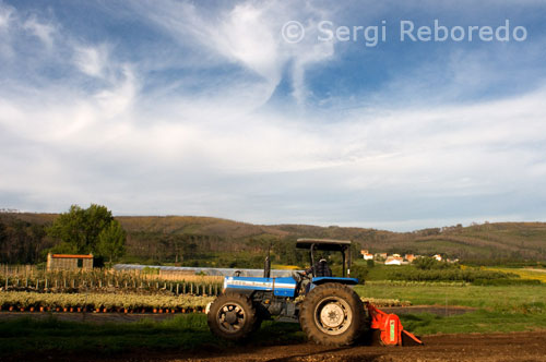 Paisaje rural en las cercanías de San Salvador de Duio. Fisterra.