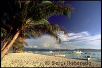 Palmeras sobre la arena blanca. Playa de arena blanca. White beach. Boracay. 