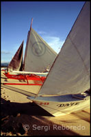 Barcas pintadas de colores llamativos para la práctica del sailing.  White beach. Boracay.