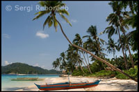 Palmeras y aguas azul turquesa en Filipinas. Varias barcas atracadas en la arena blanca de la isla de Pangulasian. Palawan.