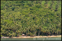 Una casa de madera en una idílica playa de la isla Snake Island. Palawan.