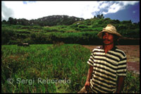 Campesino. Campos de arroz. Sagada. Cordillera Central. Luzón. 