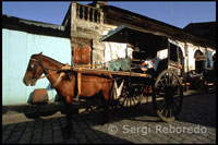 Kalesa esperando pasajeros en la calle Crisologo. Ilocos. Vigan. 