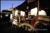 Kalesas en la calle Crisologo perteneciente al casco antiguo. Ilocos. Vigan. 