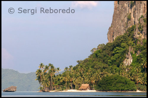 Ofrecen Sweety 2 viajes de un día de El Nido de Puerto Princesa City pasando por Taytay y Roxas. Los viajes en general, toma alrededor de 8 horas y las salidas son 7-9, se aconseja a los asientos de reservar con antelación. La tarifa es de 300 pesos. También hay una correspondiente a los viajes desde Puerto Princesa a El Nido, cada día, dejando 5-9, de nuevo por favor, reserve con antelación.