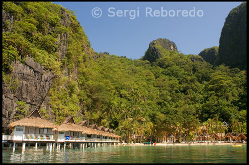 El ArtCafe es un restaurante popular en El Nido, donde la calidad y servicio es lo primero. No sólo es el desayuno bien conocida, con su pan casero y yogur o café colado, sirven bien preparado de mariscos, pizzas y pastas. Muchos de los ingredientes y, sobre todo las ensaladas cultivadas en su propia granja orgánica! En el bar podrá disfrutar de escuchar a diferentes bandas locales tocando música en vivo o disfrutar de una tranquila cena en la terraza. 