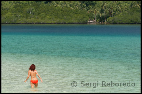 Un centro de sanación holística, en el agua delante de El Nido, Palawan, en Filipinas, con una oferta única, los alimentos crudos, asequibles limpieza de desintoxicación del parásito y en ayunas programas de rejuvenecimiento de la salud, además de las terapias curativas como el masaje, reflexología, velas óticas, cuece al horno de barro, combinado con el buceo, el snorkeling, la exploración de la isla y camping, viajes de aventura senderismo.