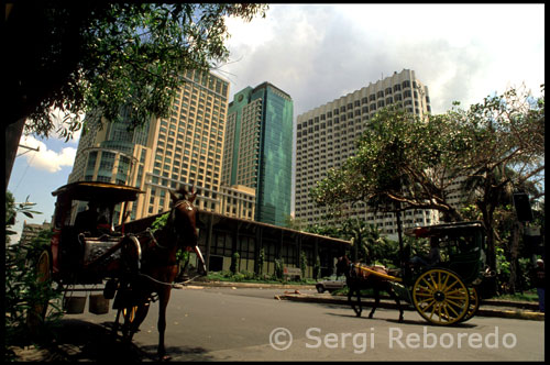 Construido en 1976 para la fiesta del Fondo Monetario Internacional, el Manila Peninsula (con el artículo definido "la") se sienta con orgullo en la intersección de las avenidas Ayala y Makati, ambas arterias ocupadas de comercio. El 497-room hotel ha sido objeto de actualización constante de las fases. La Torre de Ayala se renueva y vuelve a abrir a finales de este año, mientras que las habitaciones y suites en la torre de Makati, así como todas las zonas públicas ya han florecido de nuevo. Esto a pesar del jaleo de un fallido golpe de Estado el 29 de noviembre de 2007, cuando los soldados rebeldes, tal vez tentado por el té y el chocolate de alta superlativo en esta dama, irrumpieron en el hotel por una taza de té, en lugar del Congreso. Todo terminó pacíficamente y los viajeros obtuvimos el valor de su dinero. Es después de todo una historia que merece ser contada, en cualquier lugar. Disparos (en un vestíbulo vacío) han dejado a un modesto, si de carácter, que marca en la obra de arte colgada detrás de la recepción. De alto vuelo huéspedes que se alojen en esta dirección son también excelentes posibilidades de ser fusilado - pero intermitente cámaras - como la Península de Manila es un asunto sin reservas cajón superior atrae tanto el beau monde y pin-ejecutivos de empresas de rayas. El brillante, moderna, 699-sala de Makati Shangri-La, Manila es sólo a través de Ayala Avenue, en el corazón de Makati 's Central Business District justo al lado de las compras. Es en muchos sentidos la antítesis de la pluma reservados, más joven, audaz, atrevido, grande y moderno. El hotel cuenta con alegría reinventado a sí misma varias veces y puntos de venta han ido y venido en la sucesión misteriosa. La barra de Zu funky ha hecho camino para el salón de baile de Quezon, mientras que Red con sus sillas altas Volver carmesí y blanco decoración sorprendente, Círculos de cafetería, bar y el zumbido de Conway donde puede beberse todo el vino o la cerveza que desee por tan sólo durante P500 feliz horas de 5-9, mantener huéspedes cautivado. Los aficionados del vino, incluso puede disfrutar de un all-you-can-drink buffet de vino en el salón del vestíbulo de 5-9 para el P994. Es suficiente para hacer felices a todos, o al menos los ojos vidriosos. 