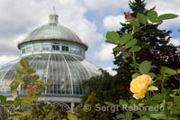 New York Botanical Garden. Bronx River Pkwy y Kazimoroff Boulevard.  Dispone de un gran invernadero de estilo victoriano llamado Enid A Haupt Conservatory, en el que se acaba de inagurar Kiku, que es como llaman al nuevo Jardín Japonés plagado de crisantemos que evocan a los preciosos jardines de Kyoto.Este jardín botánico abrió sus puertas en 1891 y tiene 100 hectáreas llenas de preciosa vegetación. También dispone de caminatas por un bosque entre árboles coníferos y el Peggy Rockefeller Rose Garden con 2700 rosales, incluyendo las variedades americanas, entre otros muchos puntos de interes. Un tren eléctrico recorre cada media hora los puntos más importantes del Jardín Botánico. Los niños cuentan con una sección especial llamada Everett Children’s Adventure Garden para que los más pequeños aprendan muchas cosas de la naturaleza explorando y descubriendo de un manera divertida.