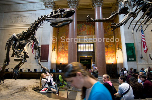 American Museum of Natural History.